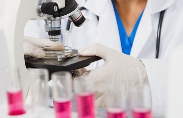 Examination of pregnancy tests of “Dolphi-Ukraine” LLC