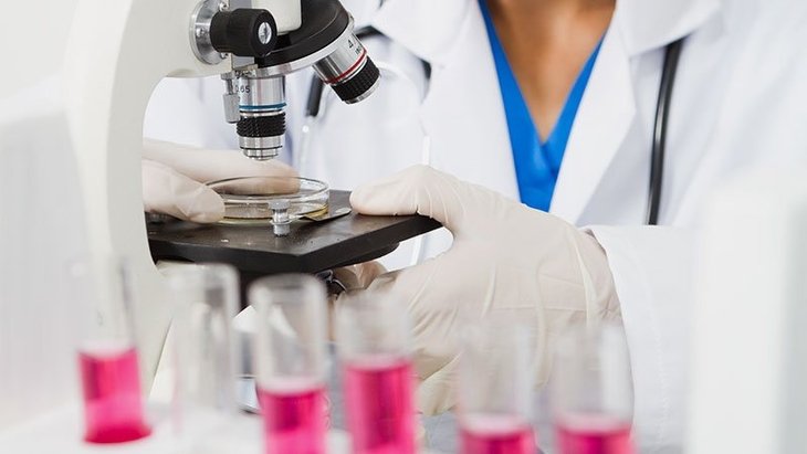 Examination of pregnancy tests of “Dolphi-Ukraine” LLC